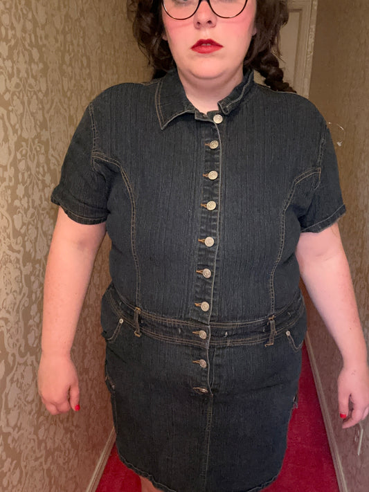 Denim Button Up Party Dress (3X)