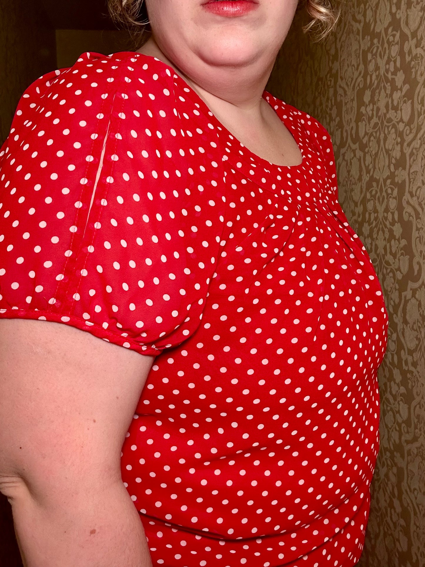 Red Polka Dot Blouse (1X)