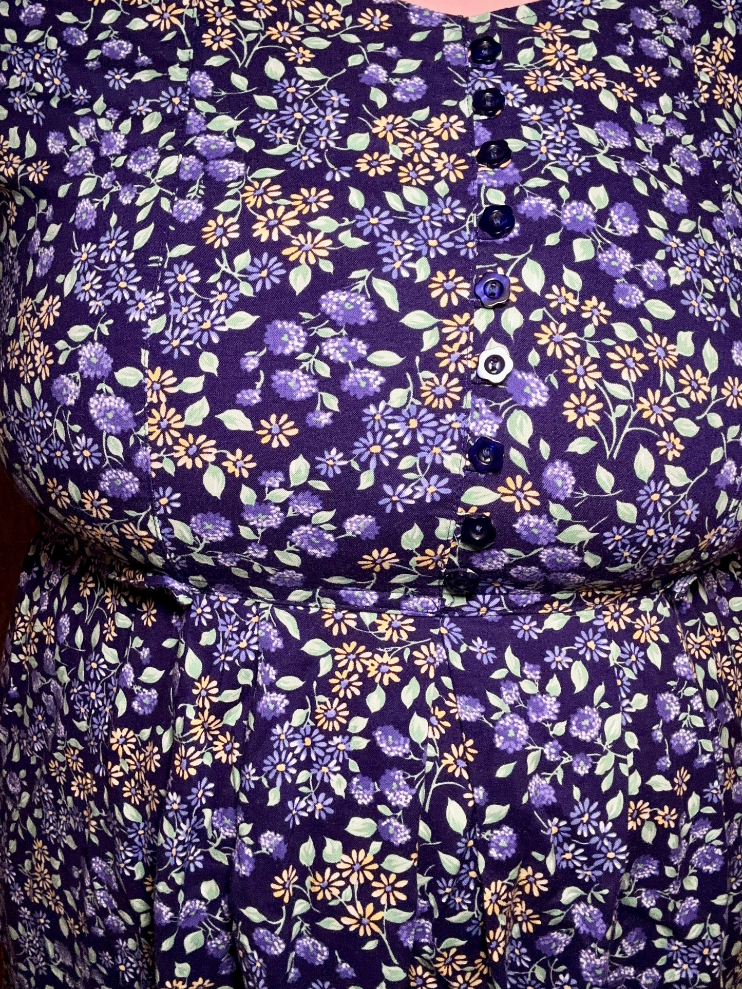 Blue Daisy Dress (1X)