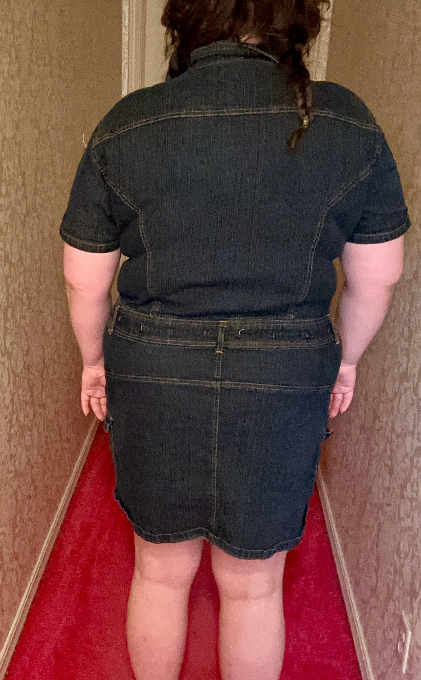 Denim Button Up Party Dress (3X)