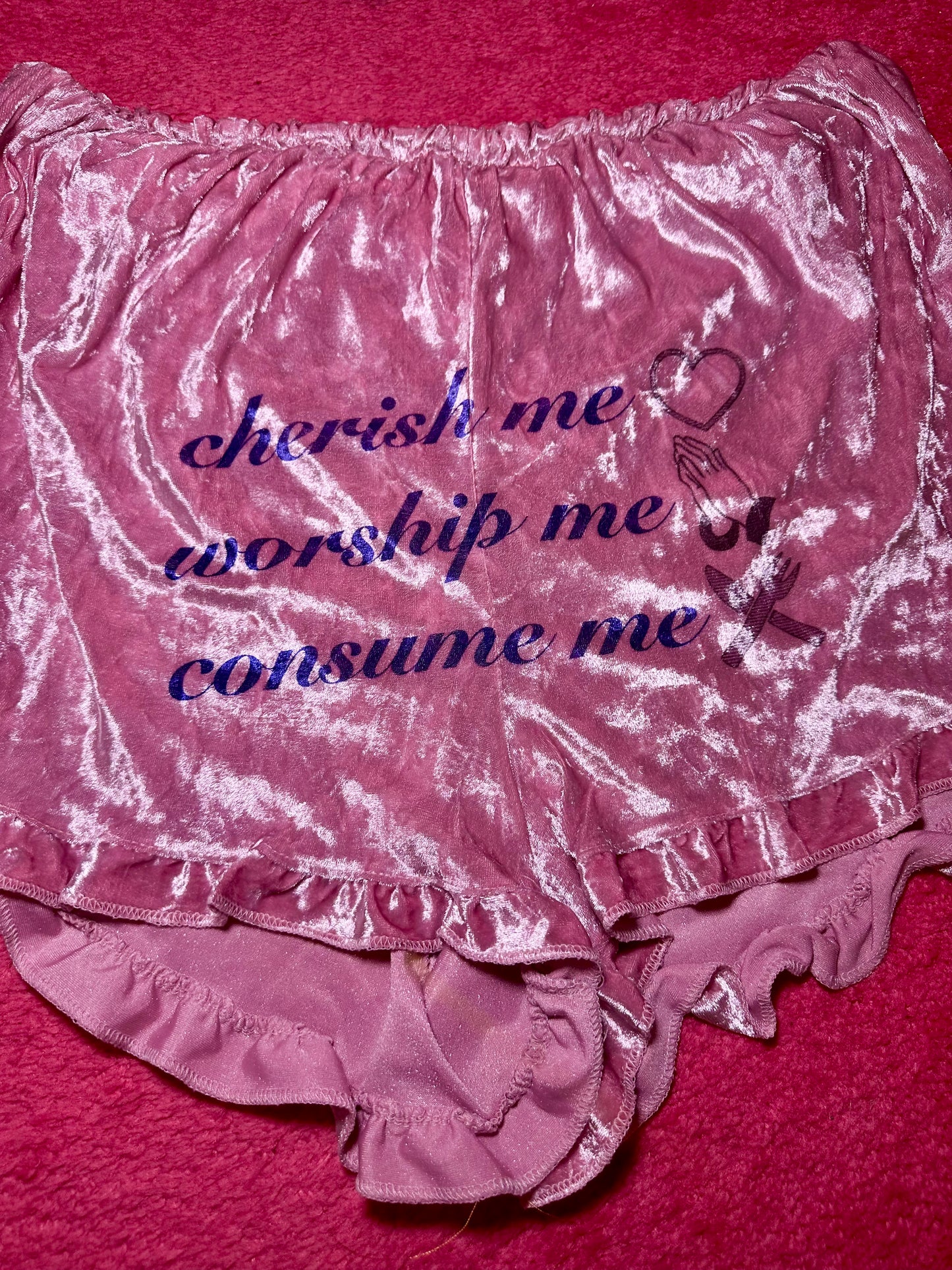Cherish Me Shorts (1X)
