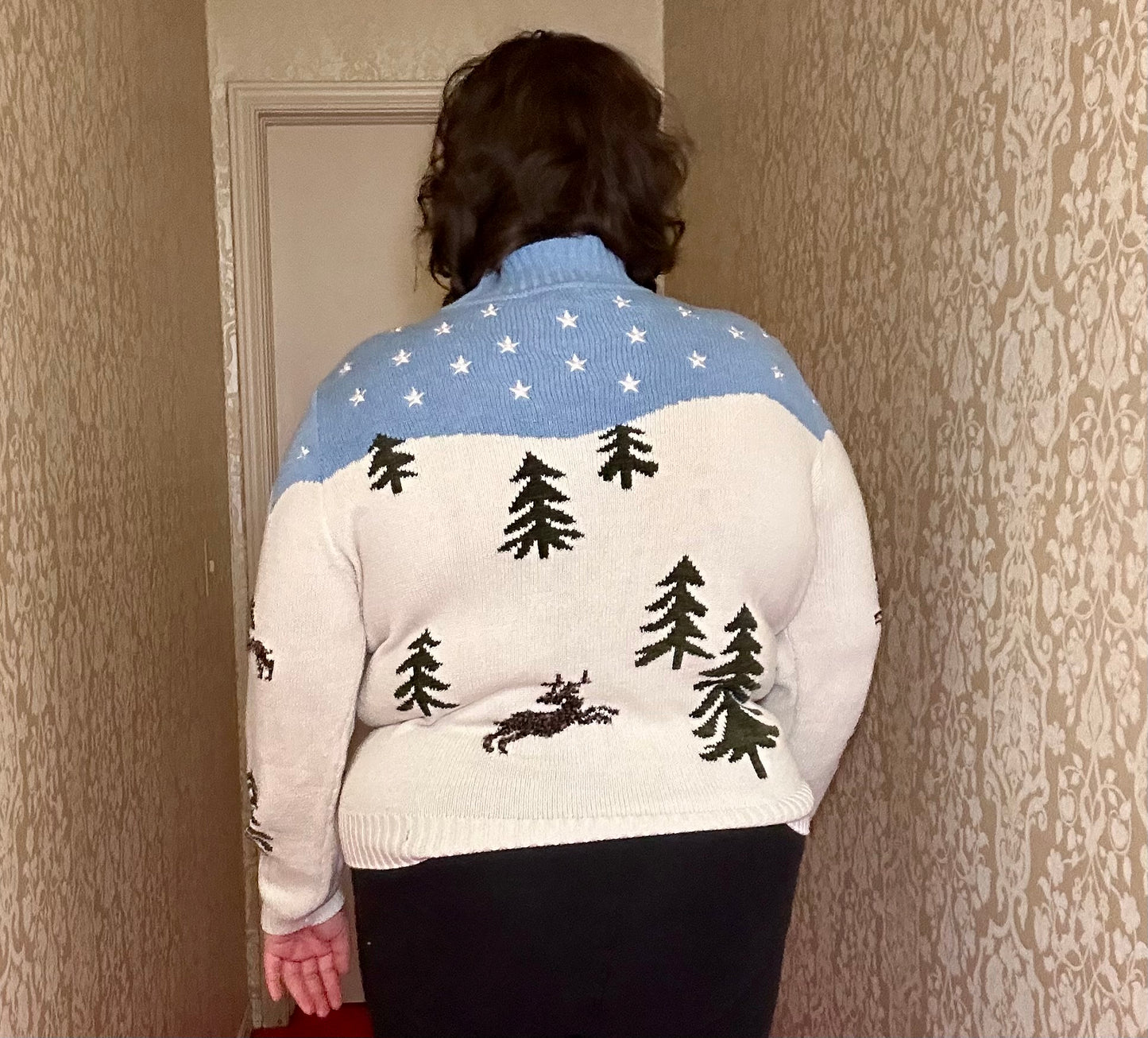 Rudolph Landscape Sweater (XL)