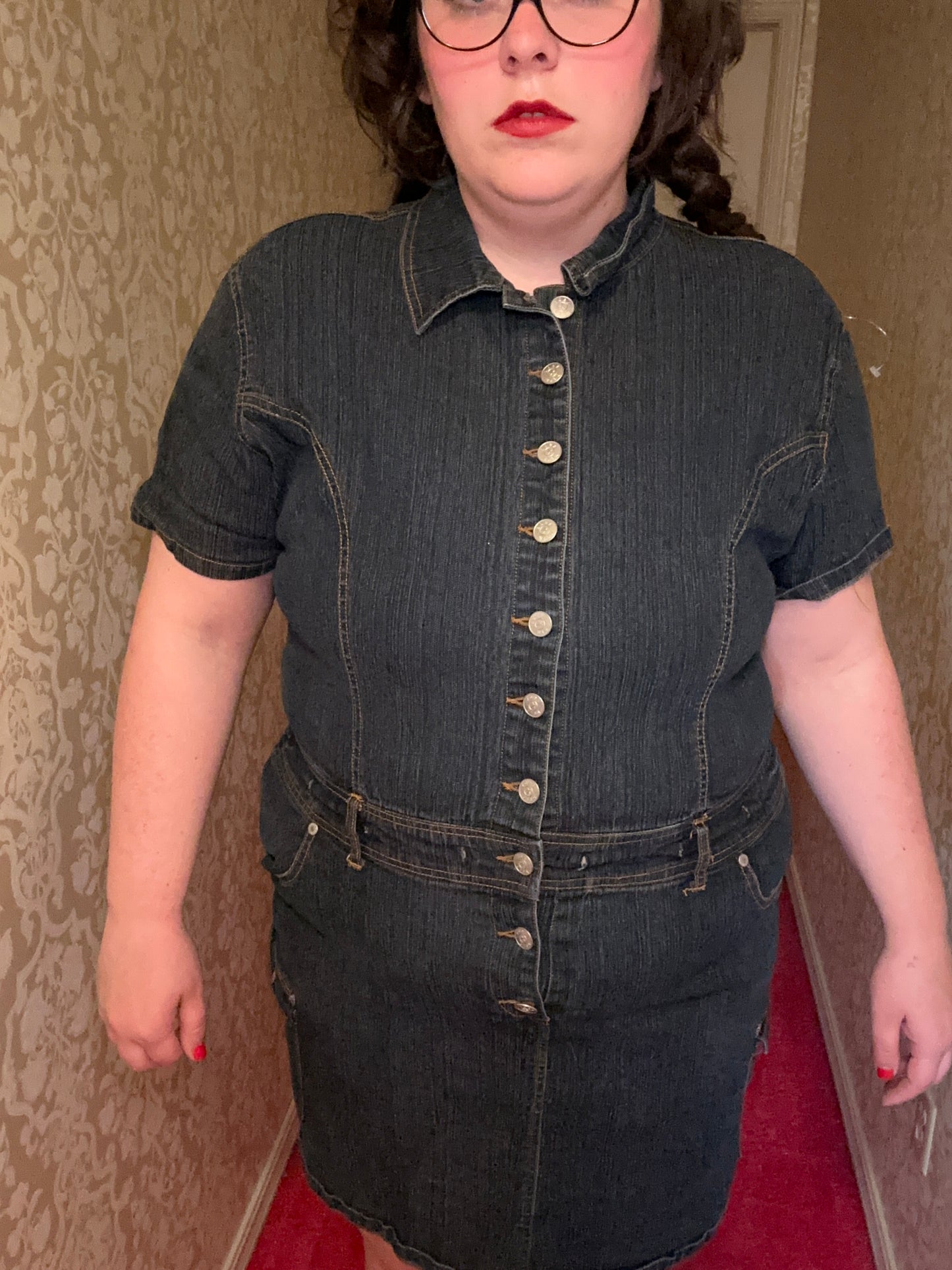 Denim Button Up Party Dress (3X)