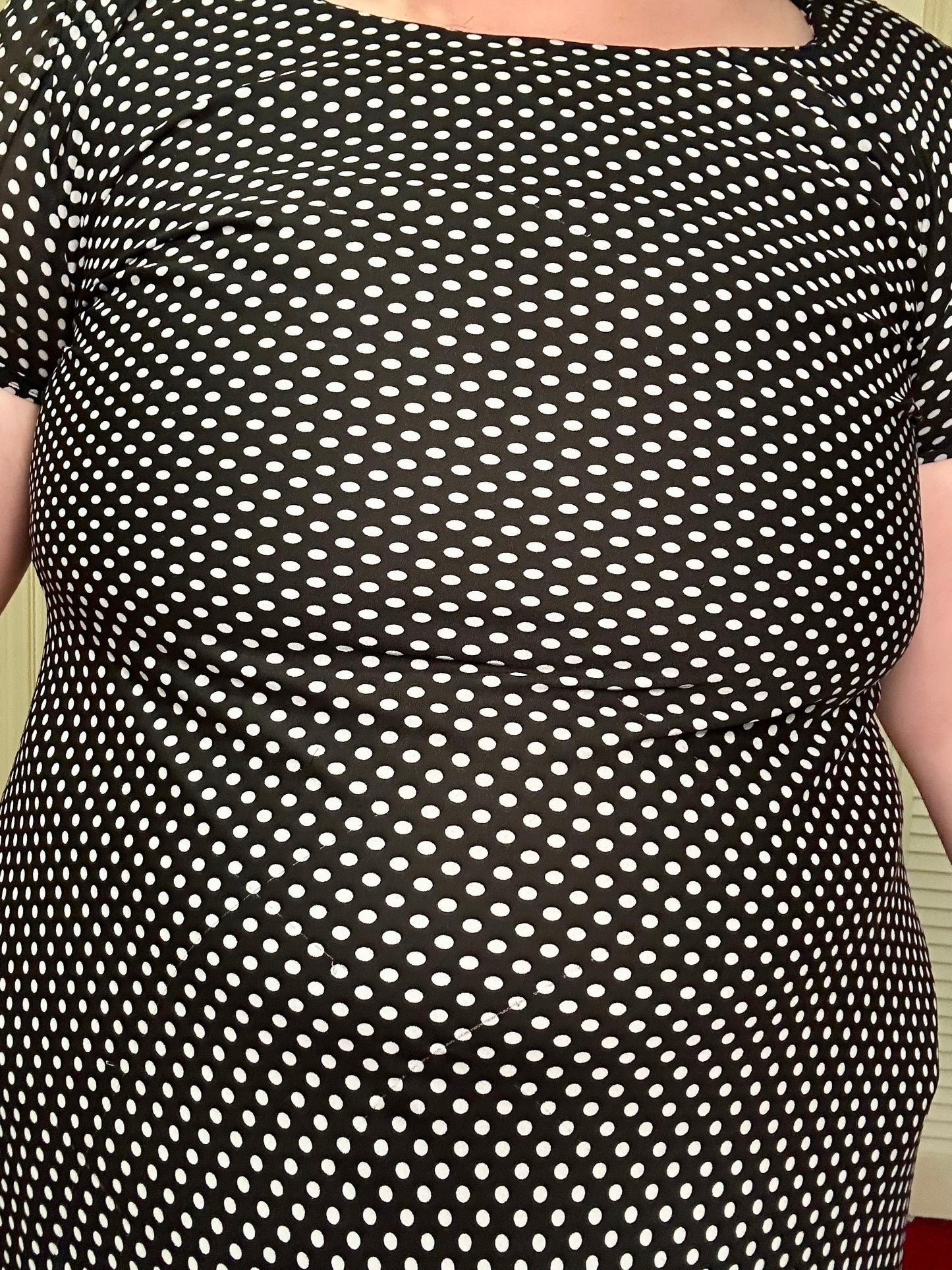 Chiffon Polka Dot Dress (18)