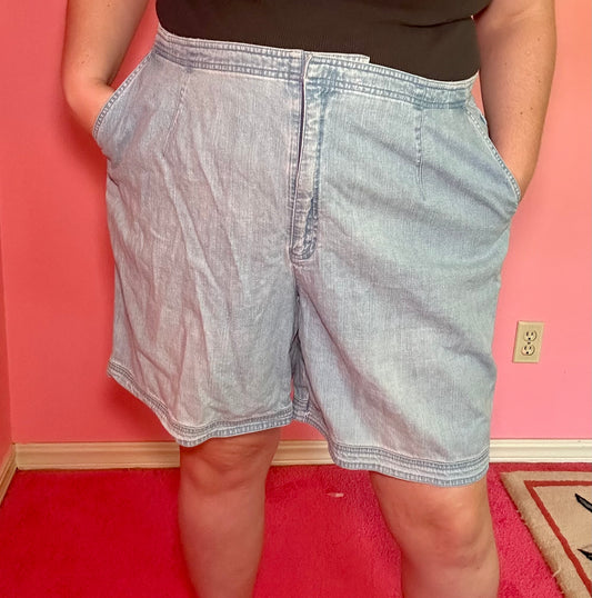 Denim Shorts (22W)