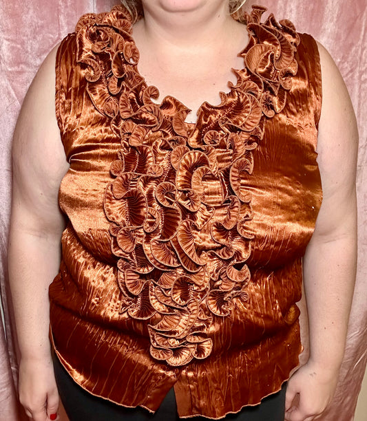 Brown Ruffle Top (L)
