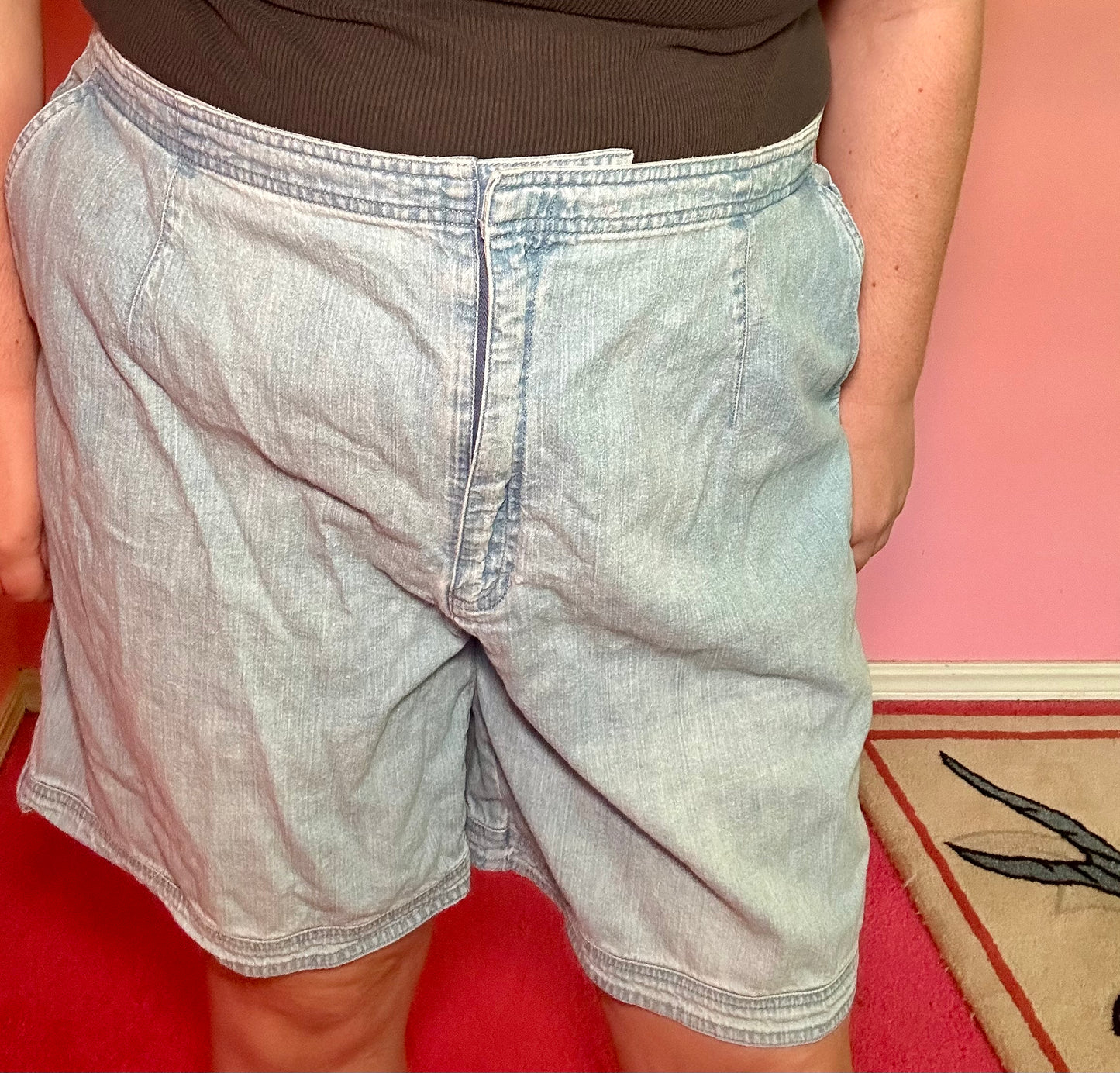 Denim Shorts (22W)
