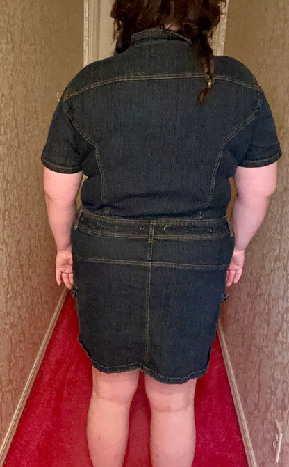 Denim Button Up Party Dress (3X)