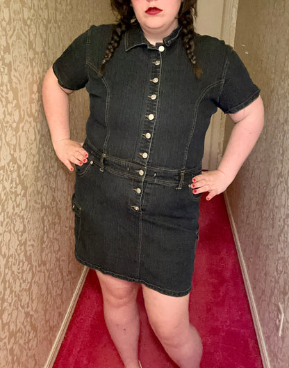 Denim Button Up Party Dress (3X)