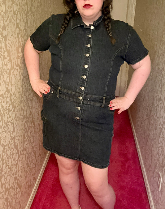 Denim Button Up Party Dress (3X)