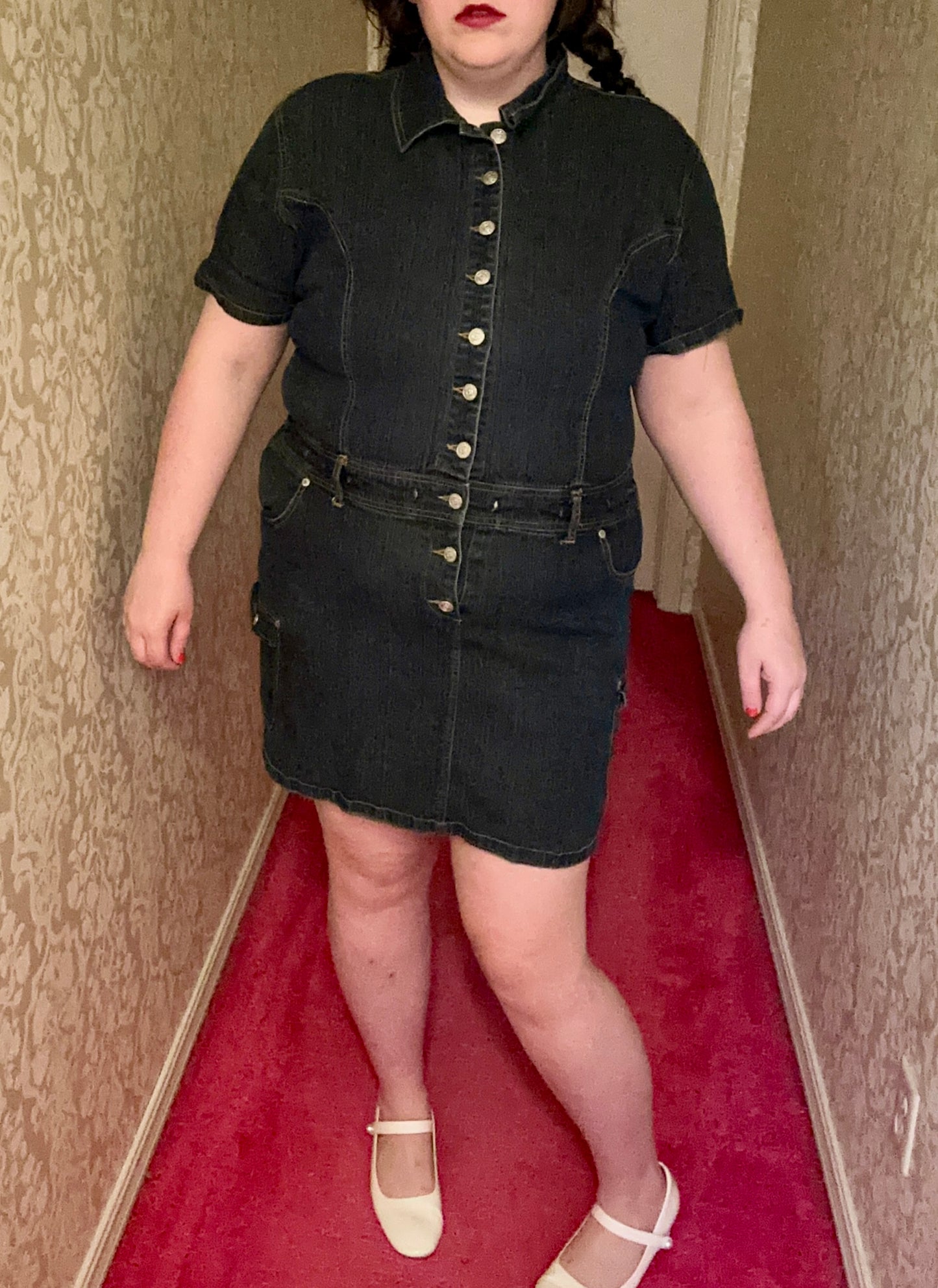Denim Button Up Party Dress (3X)