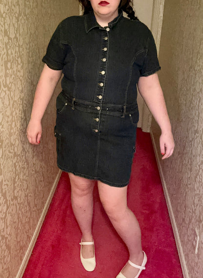 Denim Button Up Party Dress (3X)