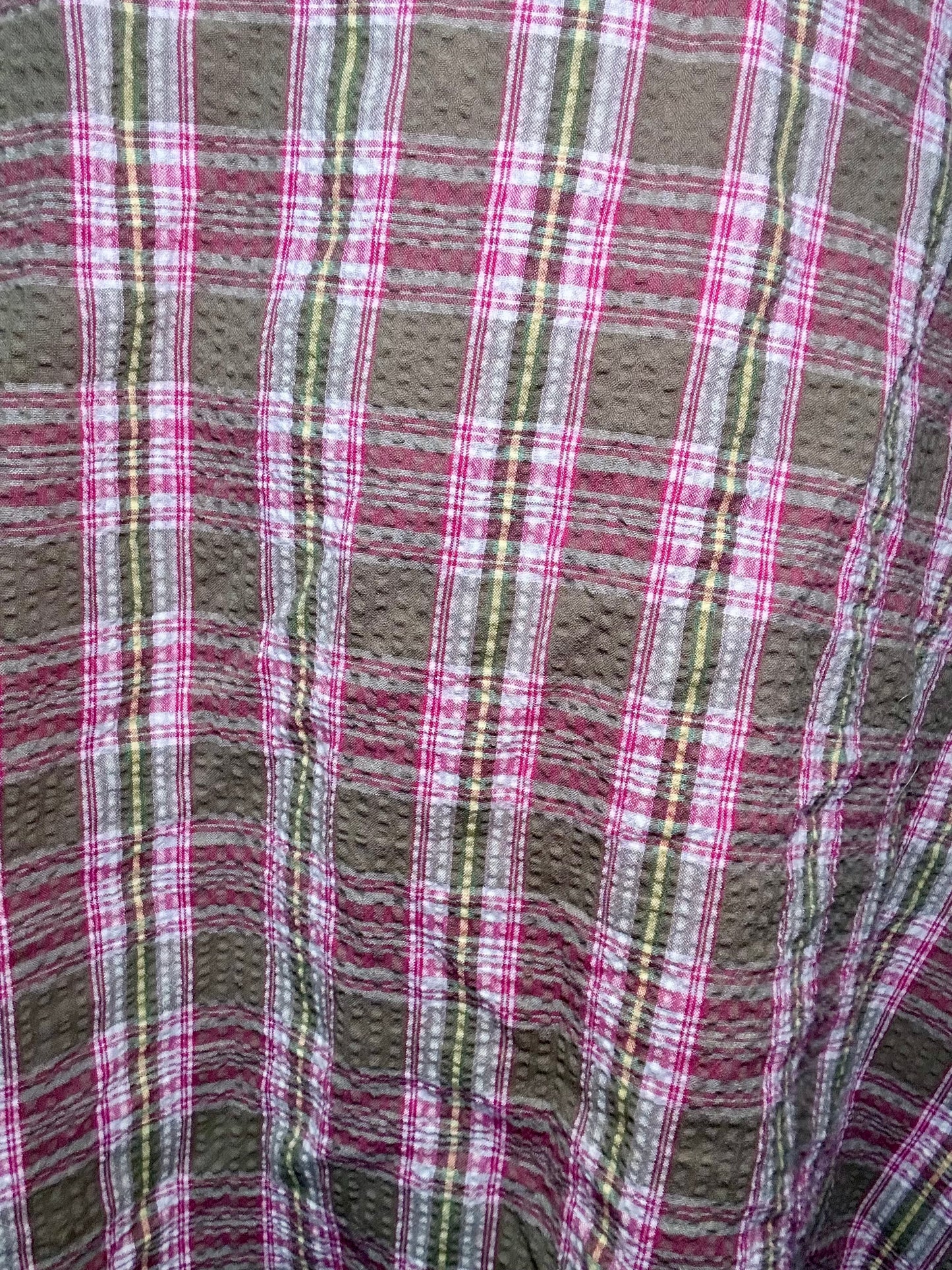 Pink Plaid Skirt (34W)